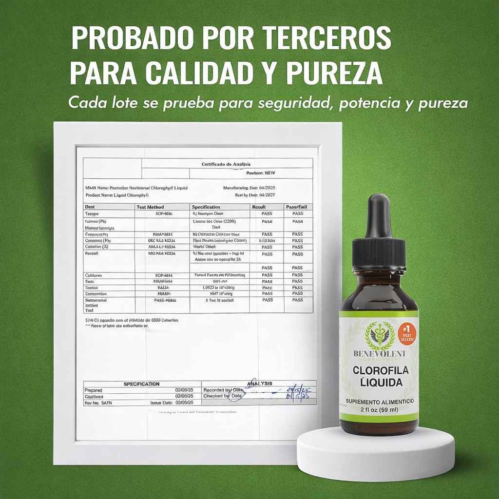 Benevolent Clorofila🌿 Limpieza interna diaria y frescura que se siente desde adentro