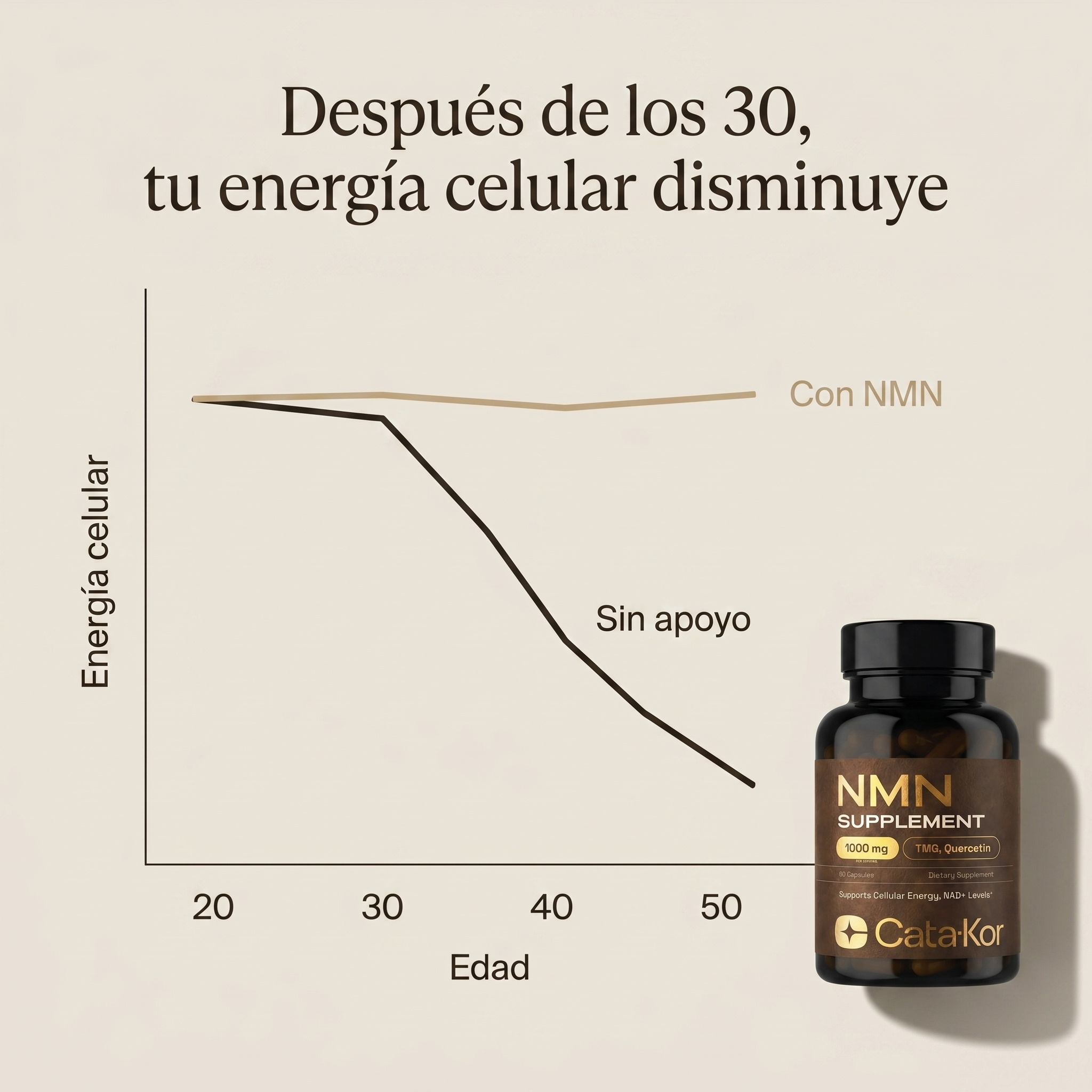 Encabezado