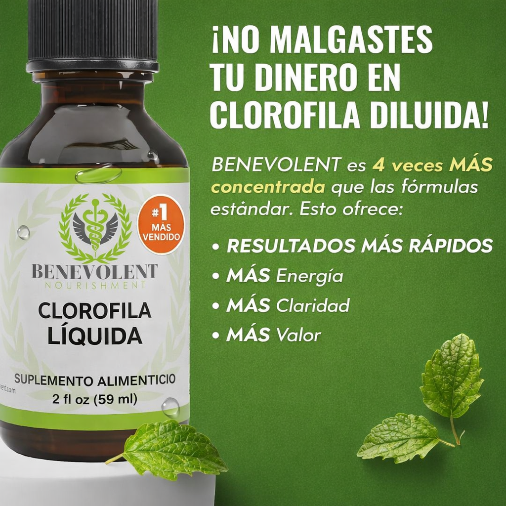 Encabezado