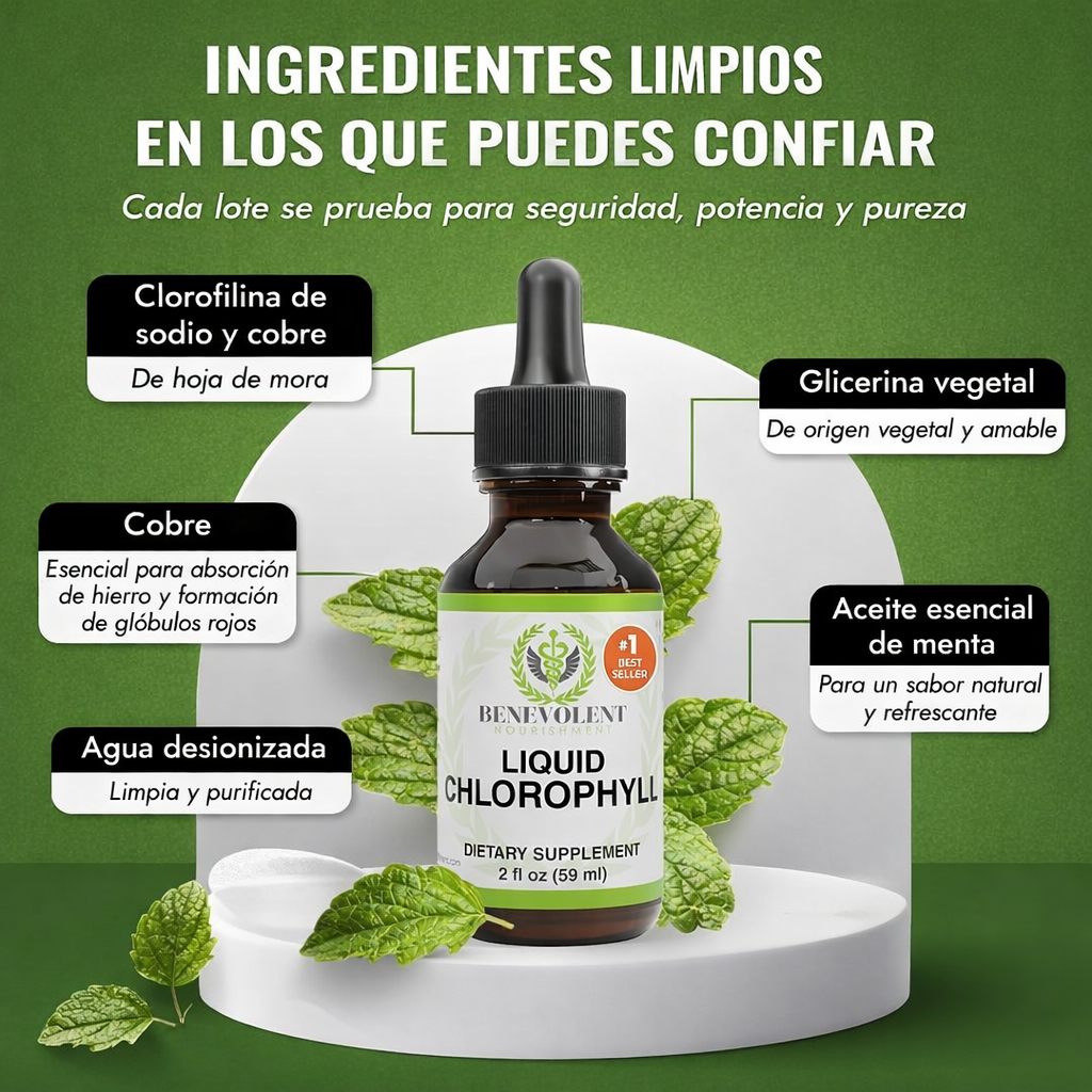Benevolent Clorofila🌿 Limpieza interna diaria y frescura que se siente desde adentro
