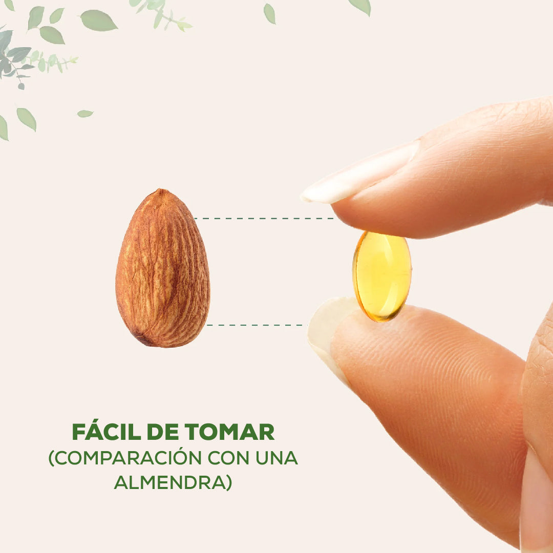 🌿 Oil of Oregano – El Secreto Natural Que Tu Cuerpo Estaba Esperando⚕️