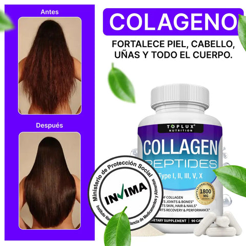 Producto