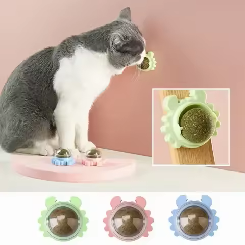 CATNIP HIERBA GATUNA NATURAL 🐾 La forma más divertida y natural de consentir a tu gato 😻 ¡PAGA 1 LLEVA 2! 👇
