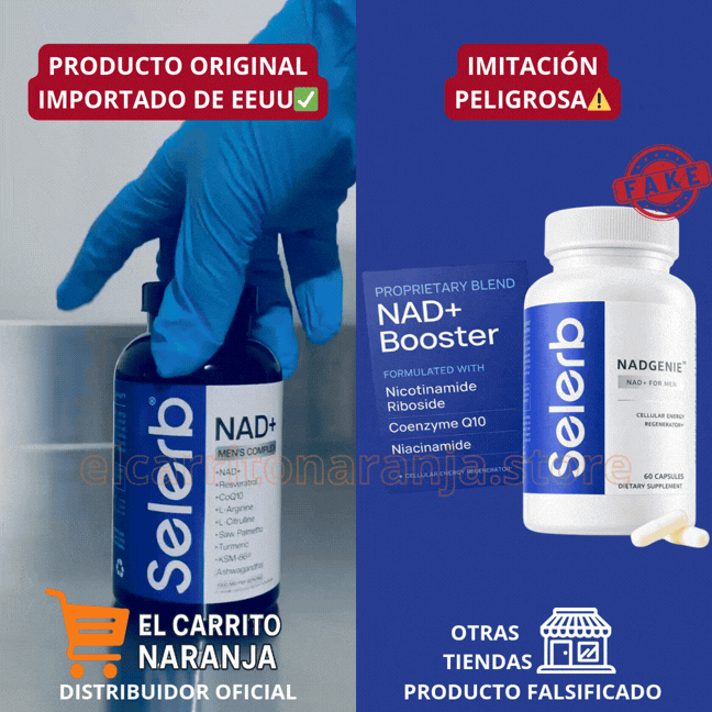 Encabezado
